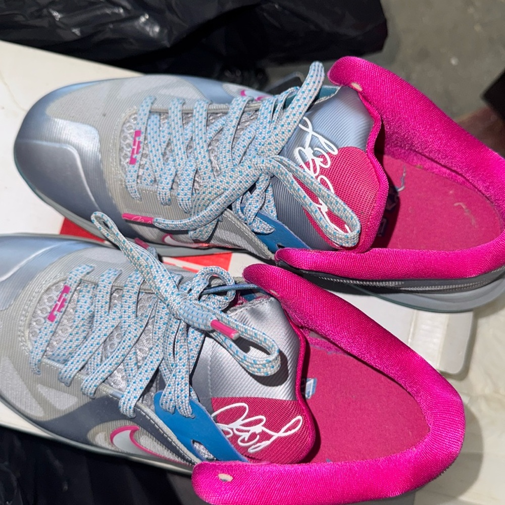 lebron 9 low